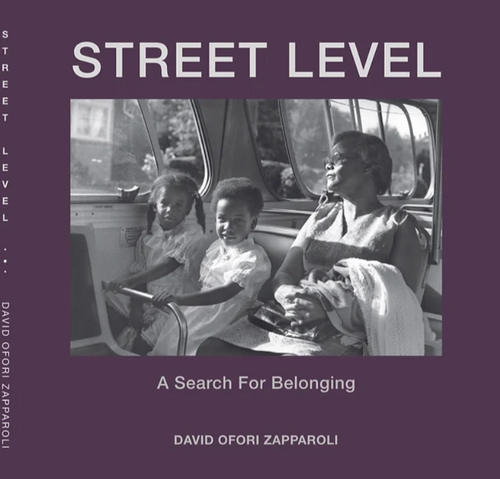 Street Level: A Search For Belonging by David Zapparoli